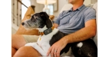 Merck Animal Health Launches Sure Petcare Animo® GPS