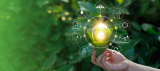 IHF updates WHO on growing hospital sustainability movement    