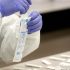 ‘Bird flu’ has been found in Santa Clara, San Mateo counties’ wildlife | News