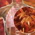Unless all are safe, no one is safe, Health News, ET HealthWorld