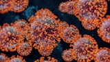 Nearly every county in Florida now has ‘high’ level of COVID-19 transmission, CDC says – Action News Jax