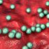Amid tripledemic, covid boosters cut hospitalization risk by 50 percent