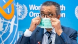 World Health Organization now says gender ‘exists on a continuum’ and is ‘beyond non-binary’