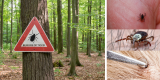 CDC Study: Pesticide Use Does Not Reduce Risk of Lyme, Other Tick-Borne Disease