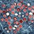 UK: ‘Early signs’ that monkeypox outbreak may be peaking