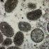 Florida reports 74,481 new COVID cases as US prepares booster shot update for fall
