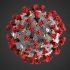 Health News Roundup: N.Korea reports over 200,000 fever cases for 5th day amid COVID wave; WHO calls emergency meeting as monkeypox cases top 100 in Europe, and more