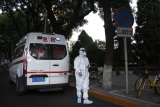 WHO: COVID-19 cases mostly drop, except for the Americas