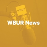 CDC Director Rochelle Walensky On Coronavirus Variants And Vaccinations – WBUR