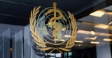 WHO begins discussing when and how to declare end of pandemic | World Health Organization News