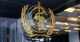 Monkeypox spreading in Europe, US, has African scientists baffled | News