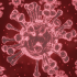 Let the CDC Take Over Everything For Our Own Good