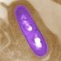 Amarillo daily COVID-19 infection rate doubles from previous week