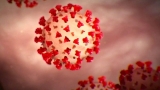 CDC director says don’t throw away your masks yet – WSB-TV Channel 2
