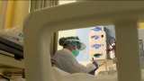 Florida adds 1,067 more COVID-19 deaths in latest CDC data