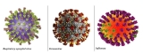 CDC Reports Flu Activity at 10-year High as COVID-19 and RSV Fill Hospital Beds