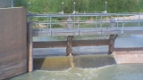 COVID-19 found in El Paso wastewater, according to CDC – KFOX El Paso