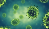 The Role of the Ambulatory Care Pharmacist in Promoting Vaccine Confidence