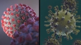 Flu and COVID expected to be more aggressive than past years