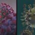 Could Exercise Be the Secret to a Healthy Gut Microbiome?