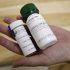 Twin research sheds light on how lifestyle, environment impact health – WSU Insider
