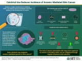 Activated vitamin D3 treatment may reduce the risk of arsenic-mediated skin cancer