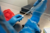 Afghanistan influenza surveillance system stands solid