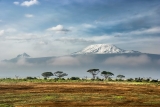 Climate-related health emergencies on the rise in Africa: WHO