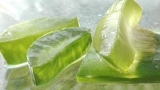 10 Healthy Benefits Of Drinking Aloe Vera Juice