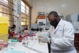 Quadripartite launches a new platform to tackle antimicrobial resistance threat to human and animal health and ecosystems