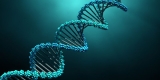 Ancient DNA Provides Genomic History of the ‘Cradle of Civilization’