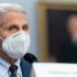 WHO announces preventive measures to stop human-to-human monkeypox transmission