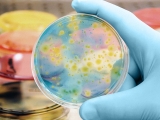 Do bacteria hold the key to their own defeat?