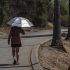 Abortions in US increased for first time in 30 years, Guttmacher says