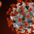 The Latest: United Airlines: 97% US workers fully vaccinated