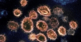 Milwaukee County moves to highest COVID-19 level per CDC