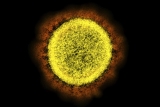 Omicron keeps finding new evolutionary tricks to outsmart our immunity