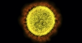 ‘Stealth omicron’ now dominant variant in the U.S.