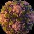 Massachusetts reports 30 new monkeypox cases, another one-week high as WHO considers declaring global emergency