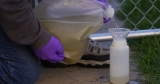 CDC to test wastewater in 2 U.S. states for poliovirus