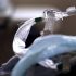 National health spending reached $4.3 trillion in 2021