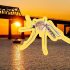 New Omicron offshoot BA.4.6 evades protection of Evusheld’s antibodies, study finds