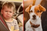 What You Can Do to Help a Child or Pet Locked in Hot Car in IN