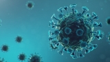 CDC: Tampa Bay area, most of Florida under high risk for COVID-19