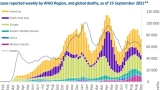 Australia Covid-19 battle: WHO says coronavirus cases and deaths are decreasing