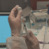 WHO again considers declaring monkeypox a global emergency
