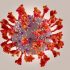 Twitter has fun with the CDC following latest backtrack: ‘The CDC now recommends’