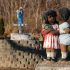 Special Issue of the International Journal for Equity in Health on COVID-19 and inequality