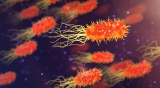 Food poisoning has dropped slightly, CDC finds. But experts say it’s still a problem