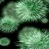 Biological E, Bharat Biotech together sitting on stockpile of 250 million COVID vaccine doses